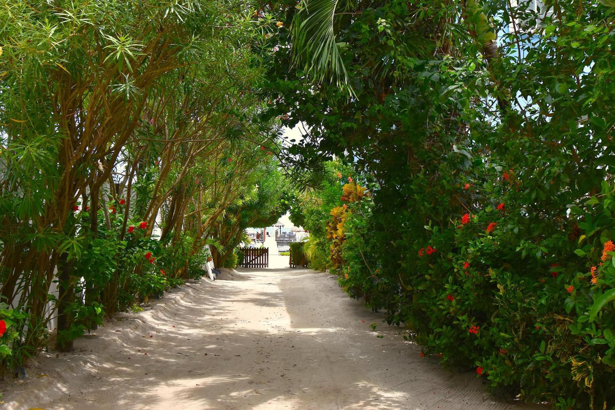 Palmetto Garden Cottage Caye Caulker Exterior foto